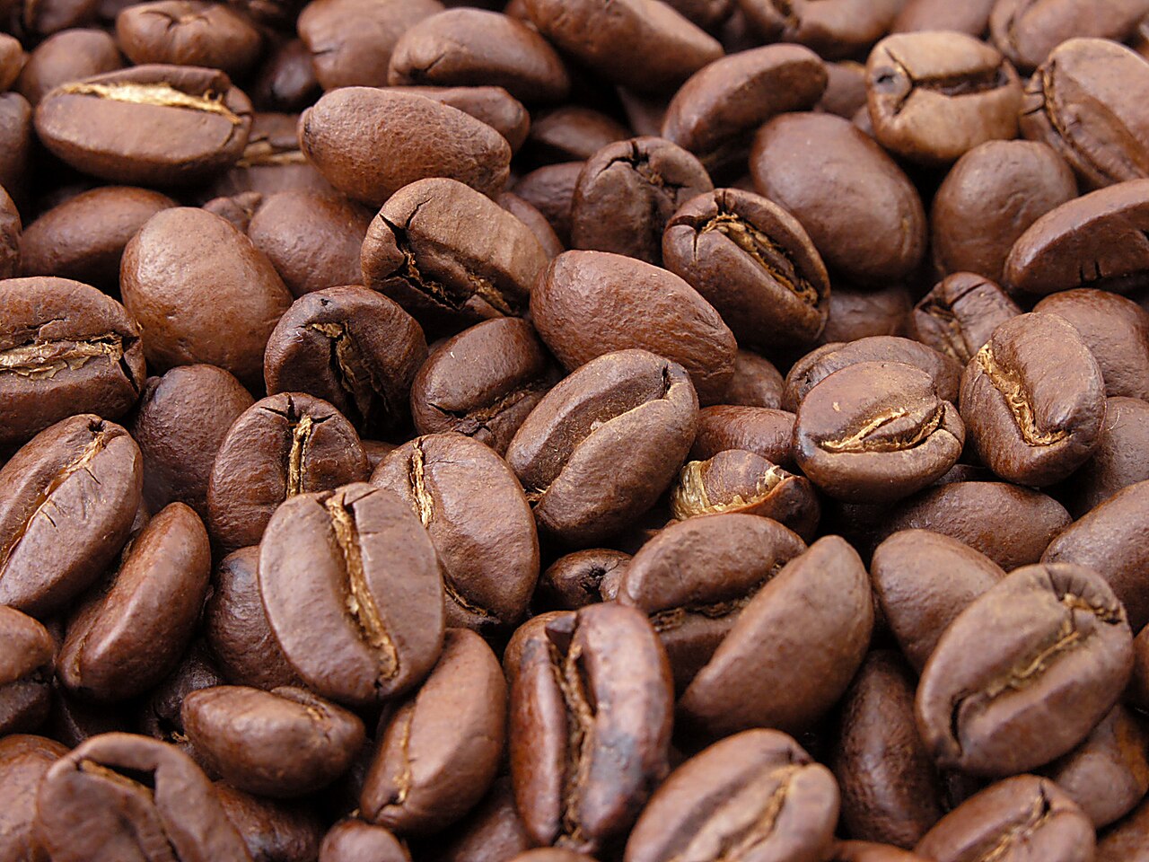 Granos de café tostado